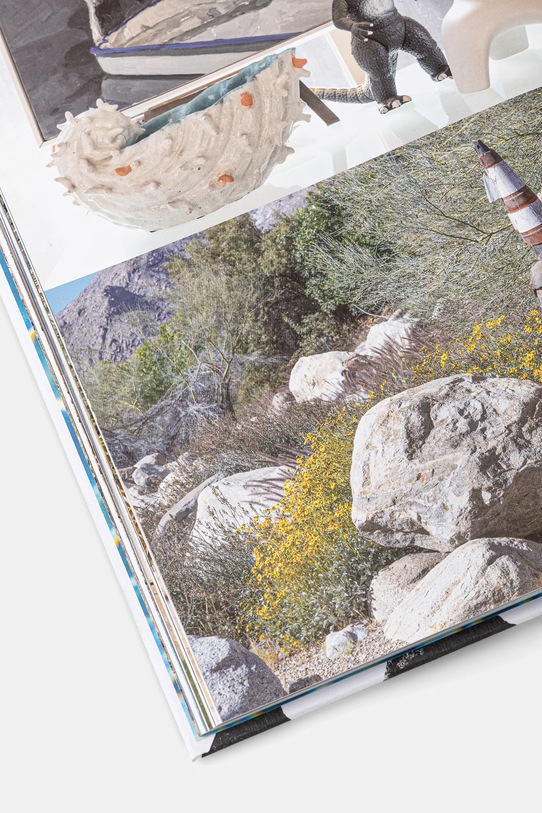 home & lifestyle książka Inside Palm Springs by Don Flood, English multicolor VP1039