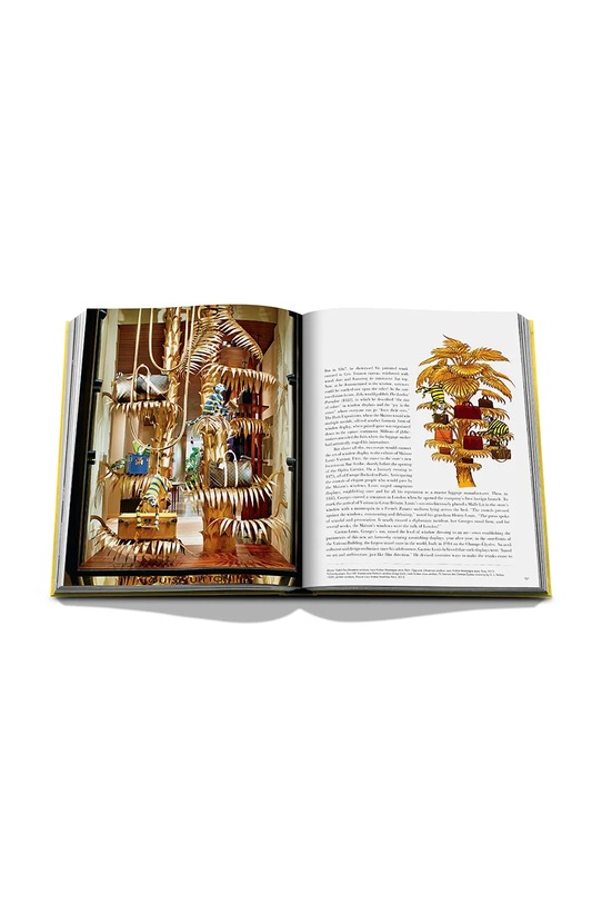 Assouline książka From Louis to Vuitton, English 9781649803955