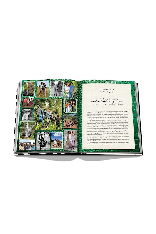 Assouline książka fotograficzna African Adventures: The Greatest Safari on Earth 9781649801999 multicolor