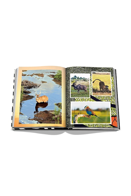 Assouline fotokniha African Adventures: The Greatest Safari on Earth, Aline Coquelle 9781649801999