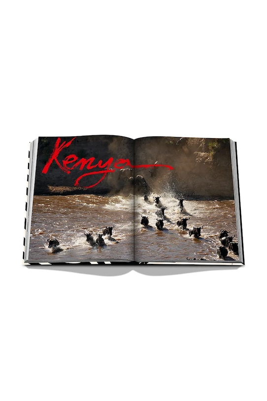 Assouline fotokniha African Adventures: The Greatest Safari on Earth, Aline Coquelle 9781649801999