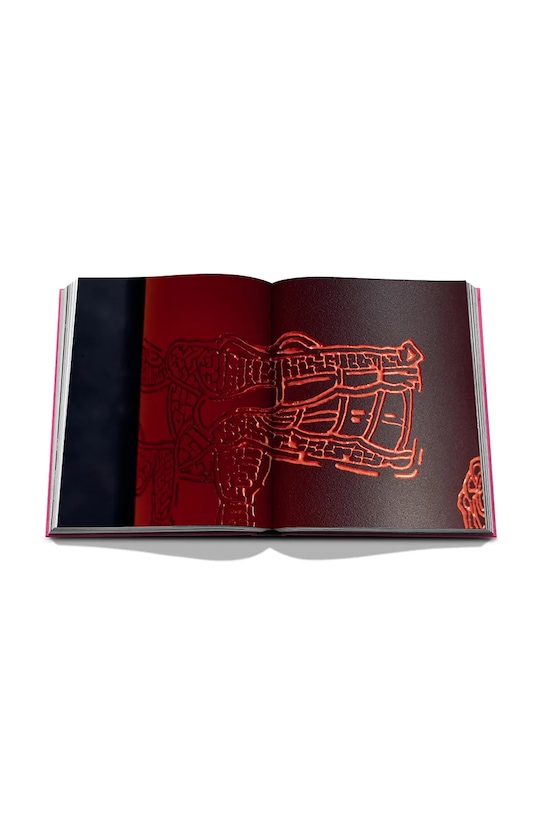 Assouline fotokniha The Art of Tequila: Spirit of Mexico, Suleman Anaya 9781649805997
