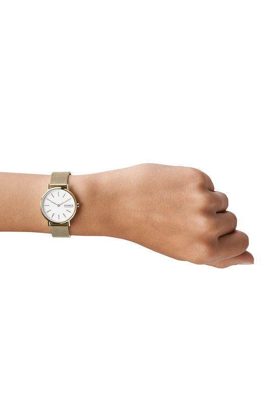 Skagen - Hodinky SKW2693 SKW2693