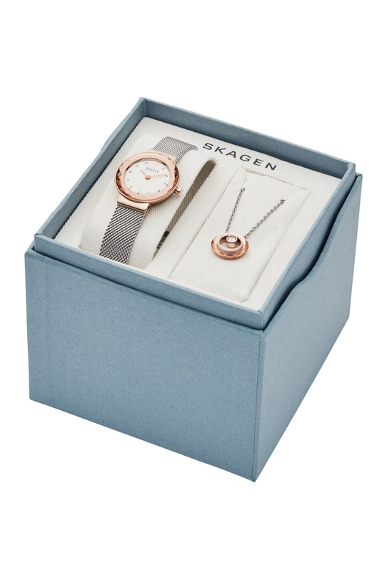 Skagen - Hodinky SKW1112 SKW1112 strieborná