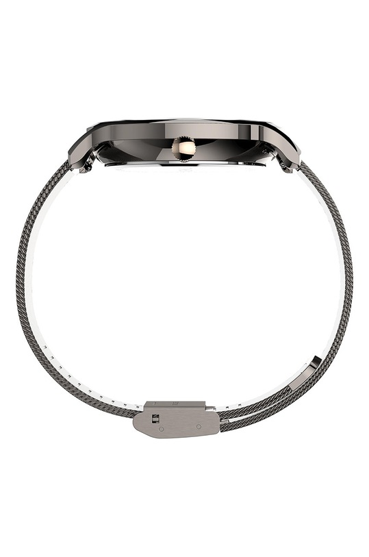 Timex - Hodinky TW2T74700 TW2T74700 stříbrná AA00
