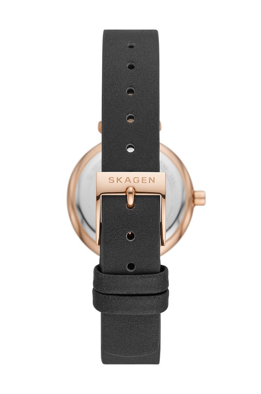 Accesorii Skagen Ceas SKW2995 aur