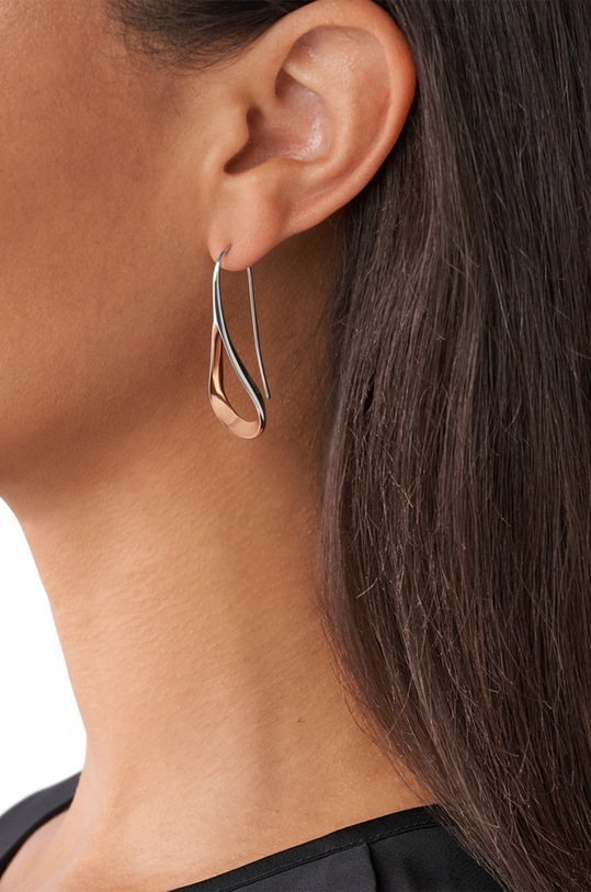 Dodaci Naušnice Skagen SKJ1230998 srebrna