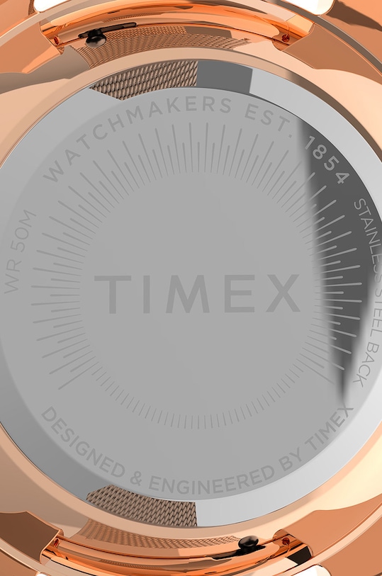 Hodinky Timex TW2V01400 TW2V01400 zlatá