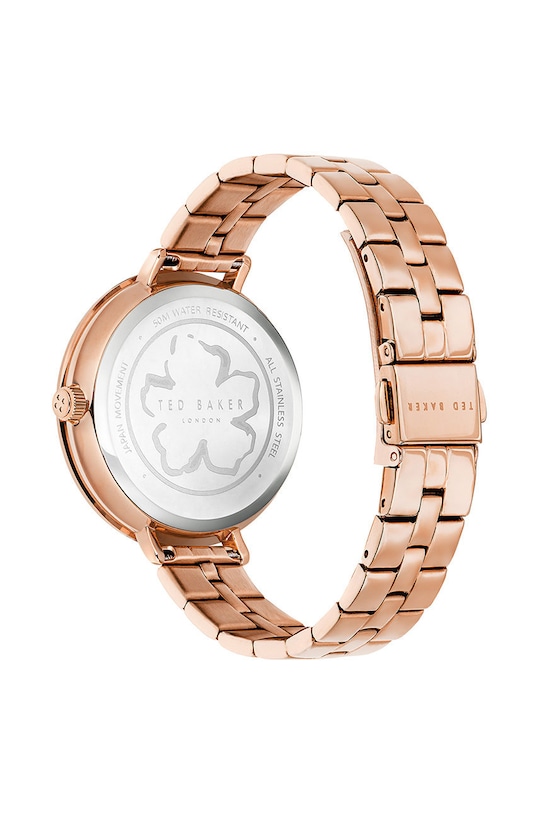 Hodinky Ted Baker BKPAMS215 zlatá AA00