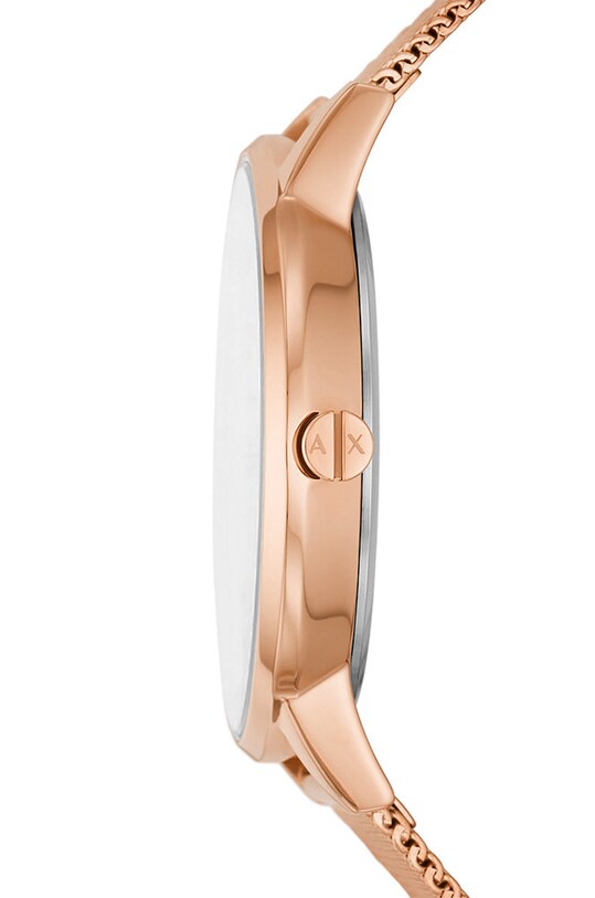 Doplňky Hodinky Armani Exchange AX5584 zlatá