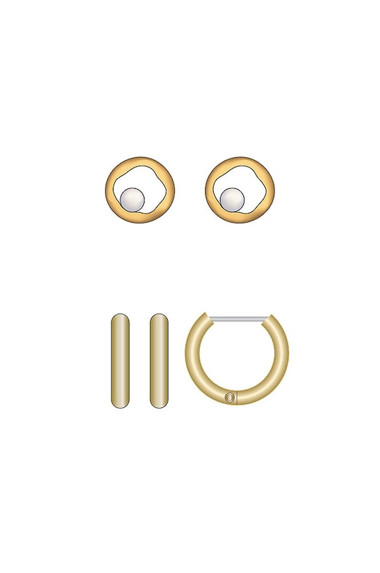 Skagen cercei 2-pack SKJB1009710 aur AA00