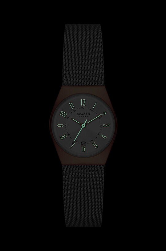 Skagen ceas aur SKW3050
