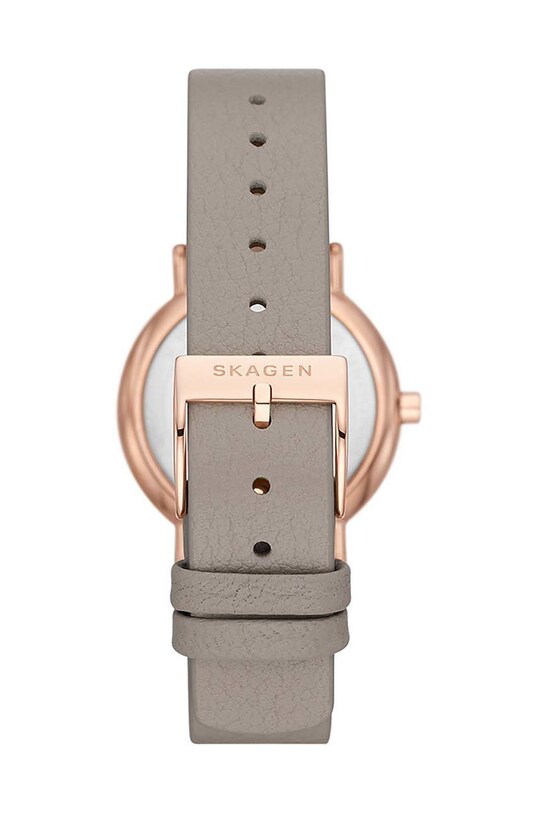 Аксессуары Часы Skagen SKW3060 золотой