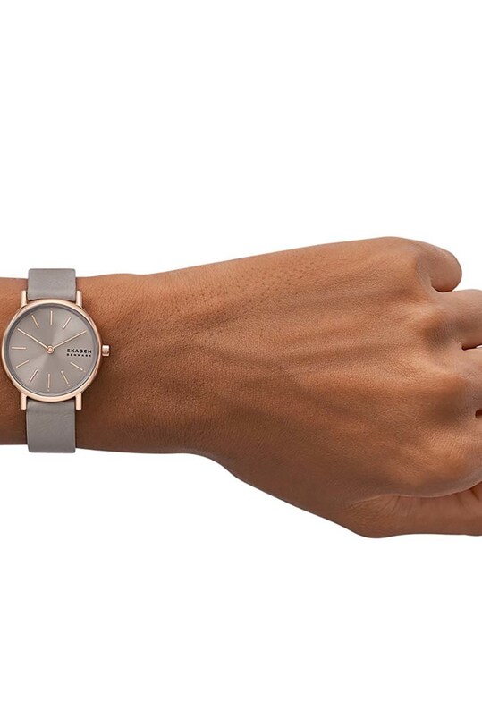 Часы Skagen SKW3060