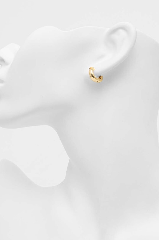 Doplňky Náušnice Michael Kors MKC1599AA710 zlatá
