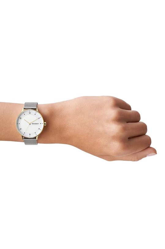 Hodinky Skagen SKW2912