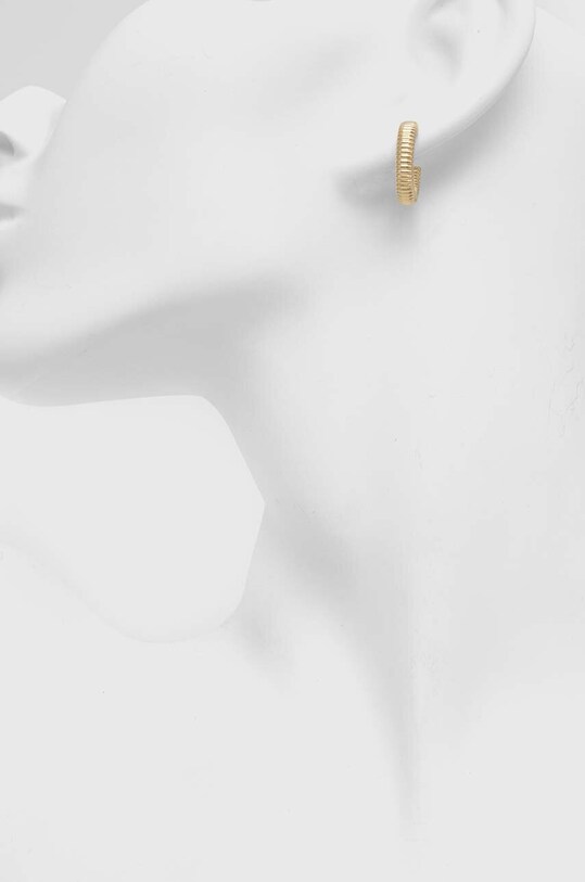 Αξεσουάρ Σκουλαρίκια Calvin Klein 35000032 χρυσαφί