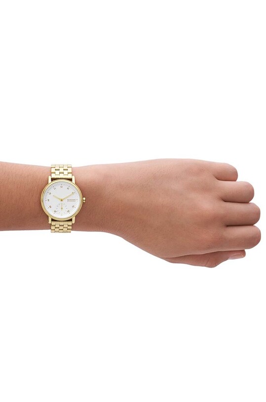 Ρολόι Skagen SKW3102