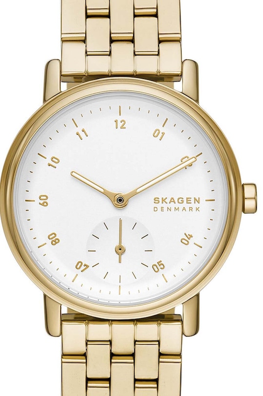 Hodinky Skagen SKW3102 zlatá AA00