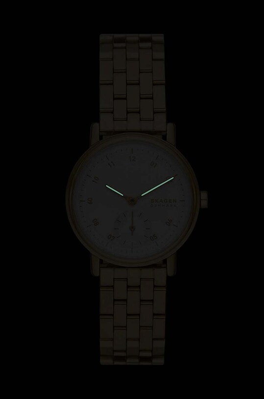 Ρολόι Skagen SKW3102 χρυσαφί