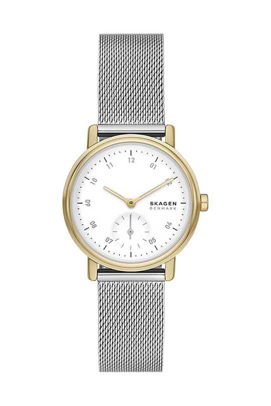 Hodinky Skagen strieborná SKW3101