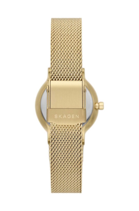 Аксессуары Часы Skagen SKW3110 золотой