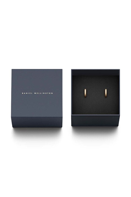 Accesorii Daniel Wellington cercei Elan DW00400514 aur
