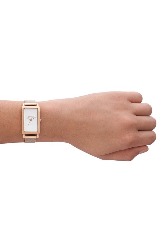 Skagen ceas aur SKW3095