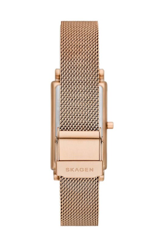 Accesorii Skagen ceas SKW3095 aur