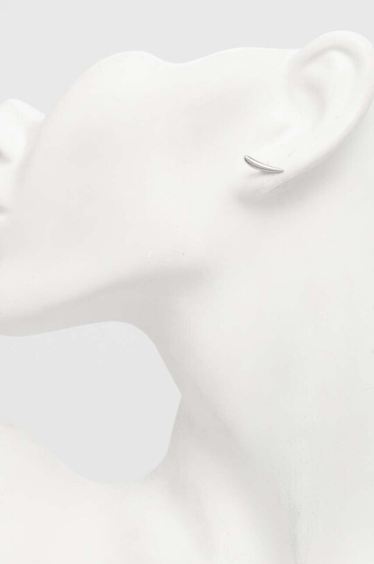 Accesorii Calvin Klein cercei 35000344 argintiu