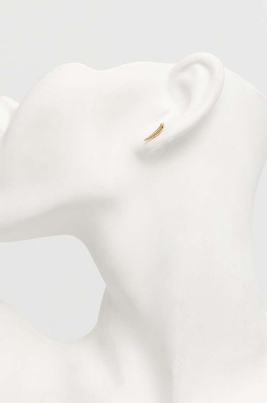 Accesorii Calvin Klein cercei 35000345 aur