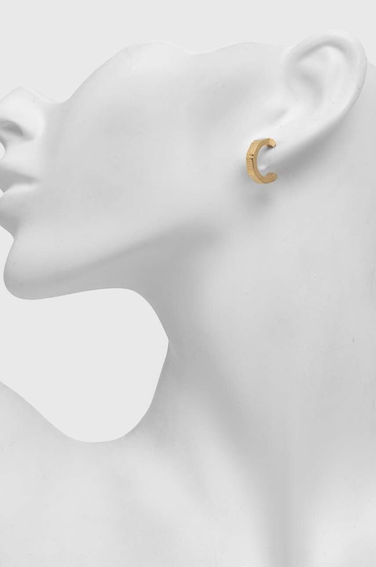 Аксессуары Сережки Calvin Klein 35000403 золотой