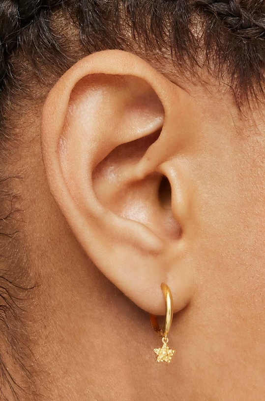 Επιχρυσωμένο ασημένιο σκουλαρίκι Tous χρυσαφί 1004091900