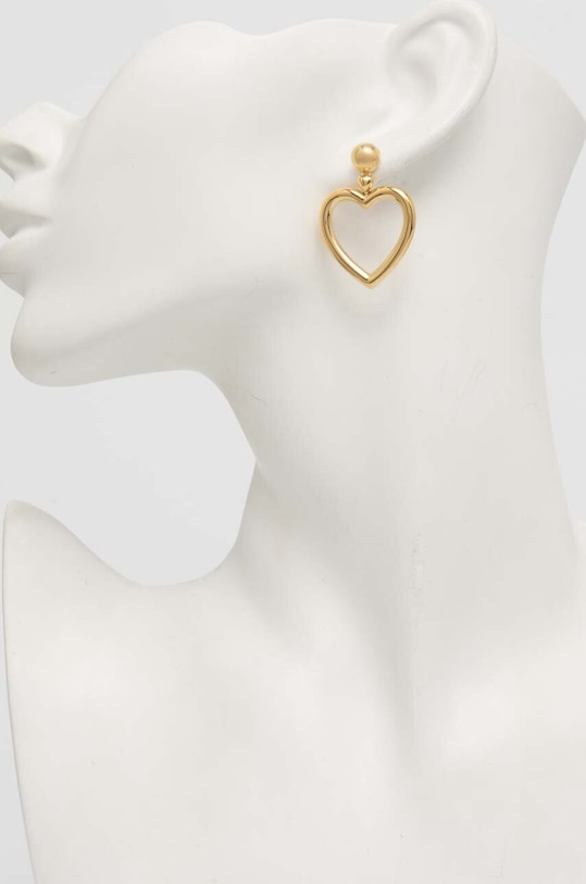 Сережки Chiara Ferragni J19AXP03 золотий AA00