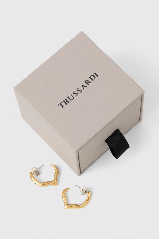 Аксесуари Сережки Trussardi TJAXA05 золотий