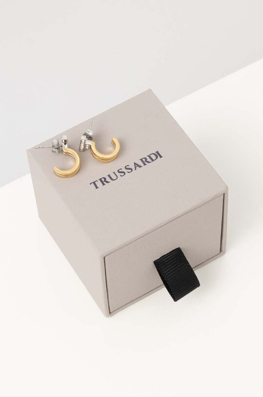 Аксесуари Сережки Trussardi TJAXC34 золотий