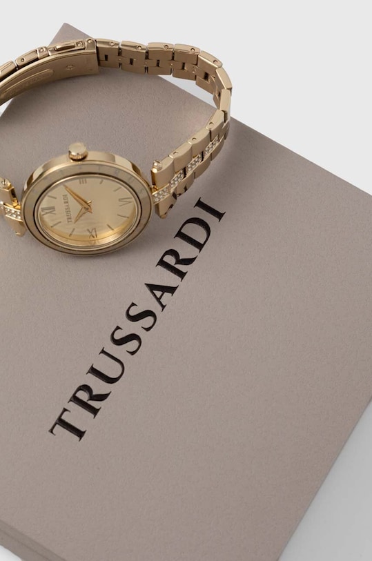 Doplnky Hodinky Trussardi R2453145508 zlatá