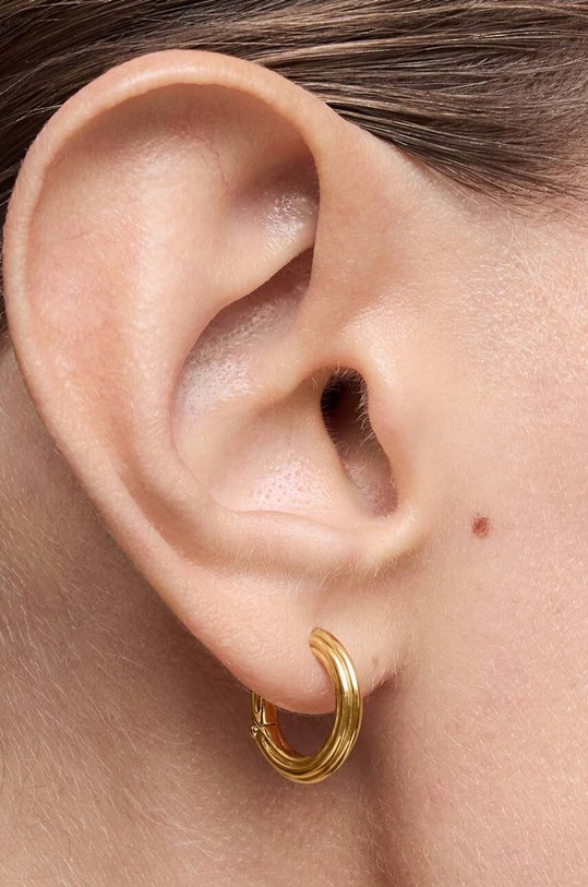 Strieborné pozlátené náušnice Tous 1950 1004243500