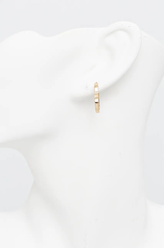 Dodaci Naušnice Tommy Hilfiger 2780753 zlatna