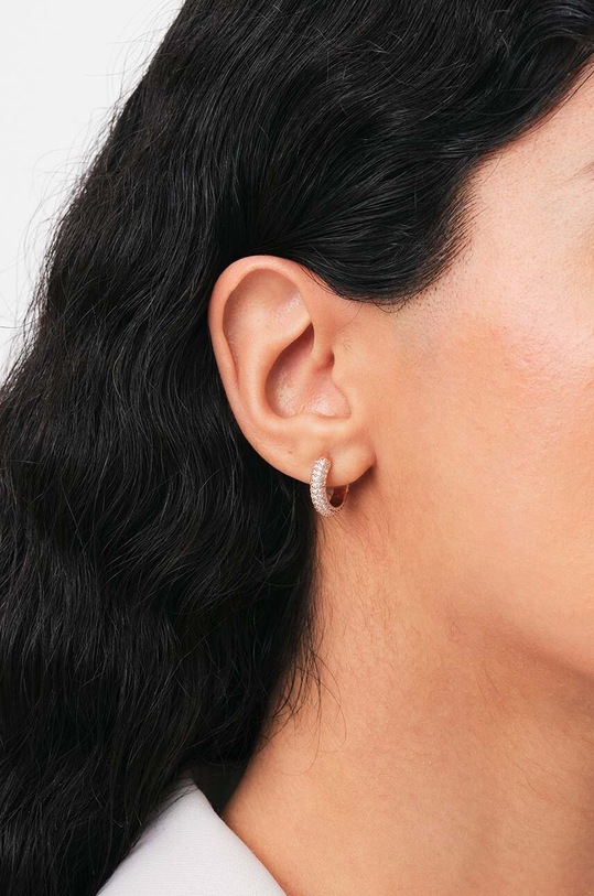 Dodatki Uhani Daniel Wellington DW00400627 zlata