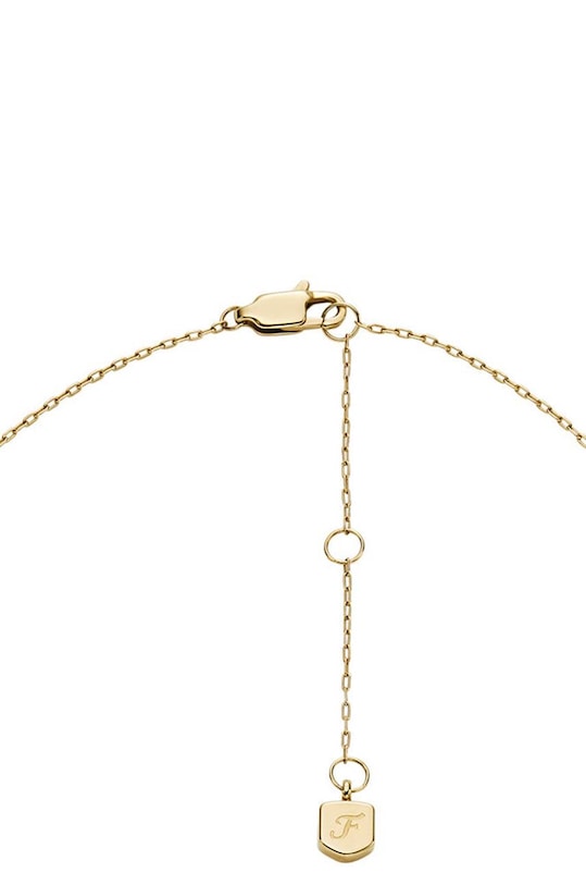 Кольє і сережки Fossil барвистий JF04815SET