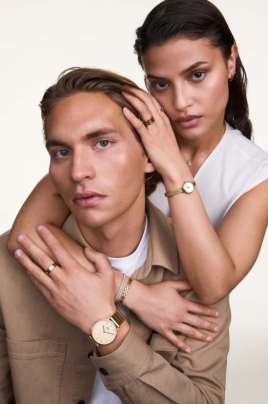 Daniel Wellington cercei DW00400989 aur