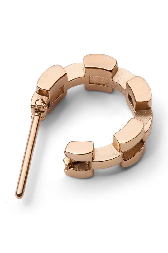 Аксесуари Сережки Daniel Wellington DW00400959 золотий