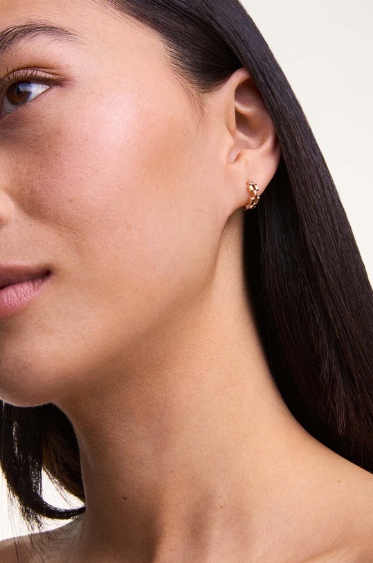 Сережки Daniel Wellington DW00400959