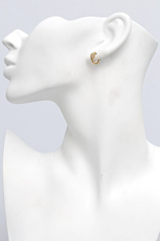 Аксесуари Сережки Trussardi TJAXC87 золотий