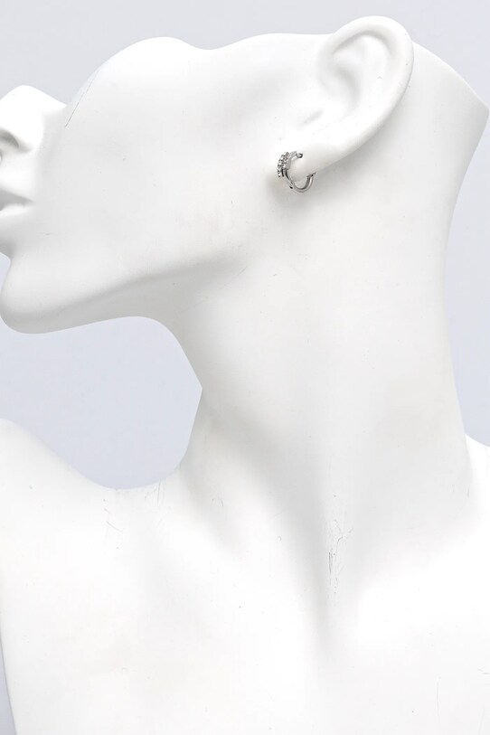 Аксесуари Сережки Trussardi TJAXC88 срібний