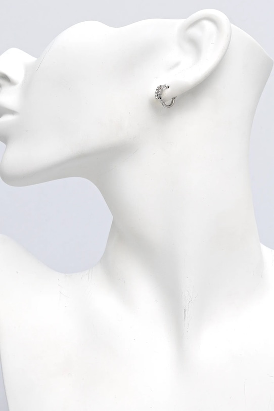 Accesorii Trussardi cercei TJAXC88 argintiu