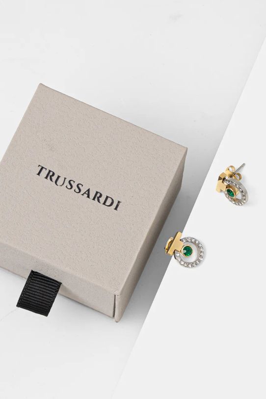 Сережки Trussardi TJAXC61 барвистий AA00