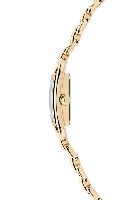 Ρολόι Ted Baker BKPTTF405 χρυσαφί AA00
