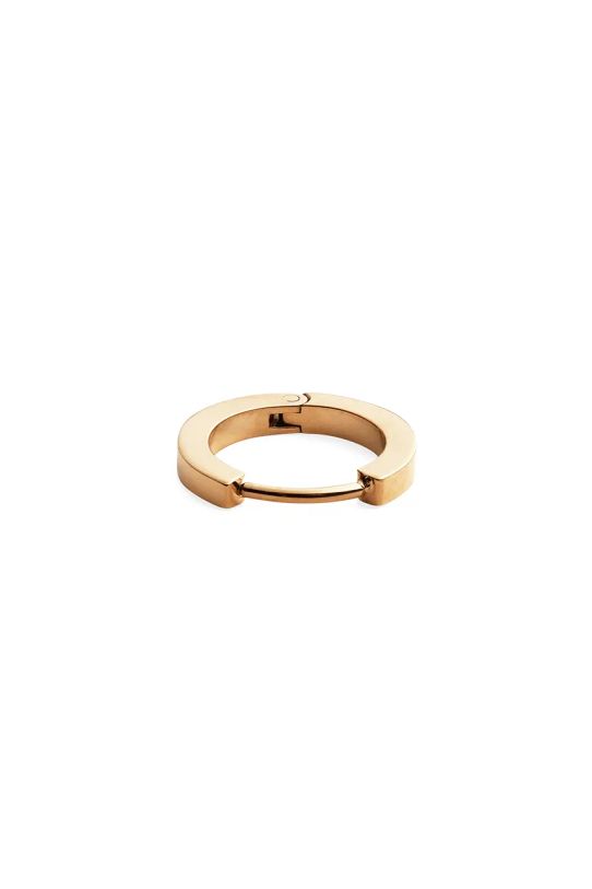 Daniel Wellington orecchino DW00400872 oro AA00